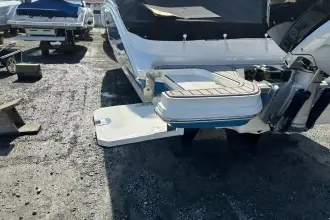 Thumbnail von Sea Ray SDX 290 Dıştan Takma Motor