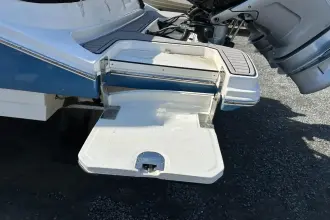 Thumbnail von Sea Ray SDX 290 Dıştan Takma Motor