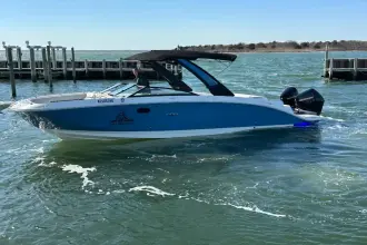 Thumbnail von Sea Ray SDX 290 Dıştan Takma Motor