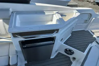Thumbnail von Sea Ray SDX 290 Dıştan Takma Motor