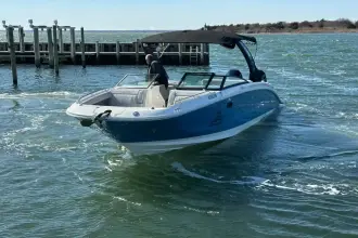 Thumbnail von Sea Ray SDX 290 Dıştan Takma Motor