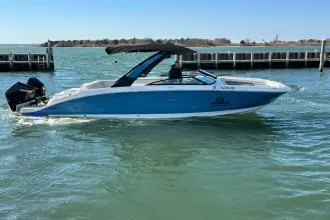 Thumbnail von Sea Ray SDX 290 Dıştan Takma Motor