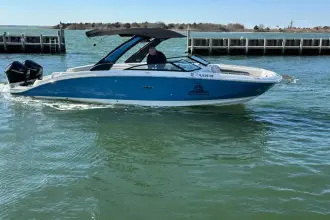 Thumbnail von Sea Ray SDX 290 Dıştan Takma Motor