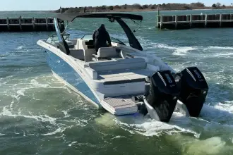 Thumbnail von Sea Ray SDX 290 Dıştan Takma Motor