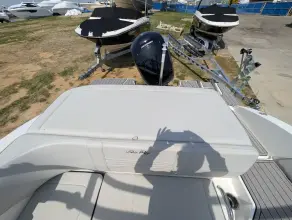 Thumbnail von Sea Ray SPX 190 Außenborder