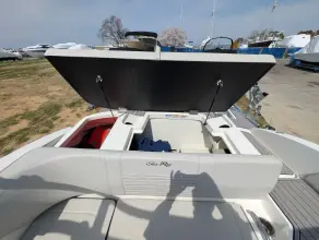 Thumbnail von Sea Ray SPX 190 Außenborder