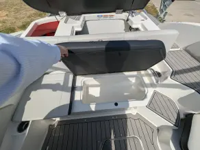 Thumbnail von Sea Ray SPX 190 Außenborder