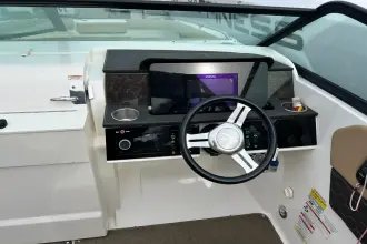 Thumbnail von Sea Ray SDX 250 Dıştan Takma