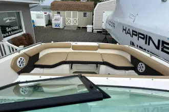 Thumbnail von Sea Ray SDX 250 Dıştan Takma