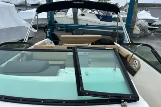 Thumbnail von Sea Ray SDX 250 Dıştan Takma
