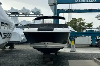 Thumbnail von Sea Ray SDX 250 Dıştan Takma