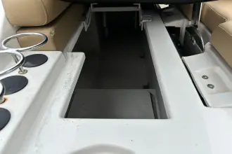 Thumbnail von Sea Ray SDX 250 Dıştan Takma