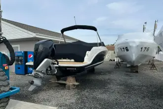 Thumbnail von Sea Ray SDX 250 Dıştan Takma