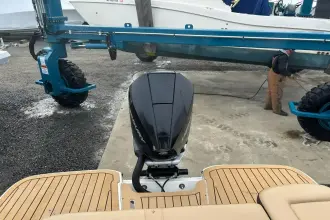 Thumbnail von Sea Ray SDX 250 Dıştan Takma
