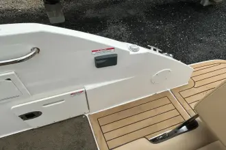 Thumbnail von Sea Ray SDX 250 Dıştan Takma