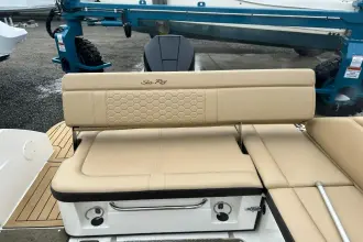 Thumbnail von Sea Ray SDX 250 Dıştan Takma