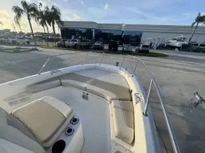 Thumbnail von Boston Whaler 210 Dauntless