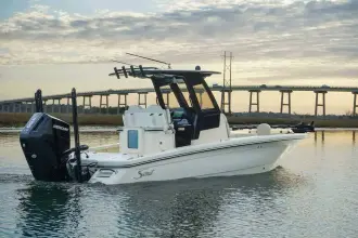 Thumbnail von Scout 261 XSS