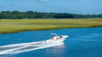 Scout 220 Dorado