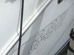 Thumbnail von Meridian 391 Limousine