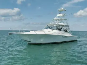 Thumbnail von Viking 42 Express GAMECHANGER