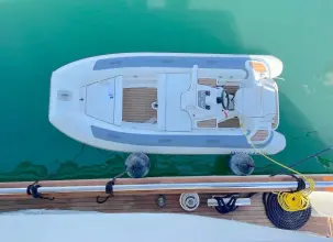 Thumbnail von Elegance 82 Neugier