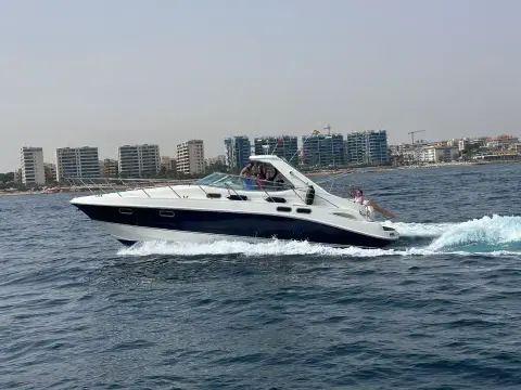 Sealine S42