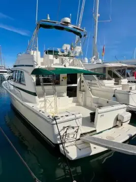 Riviera 43 Open Flybridge
