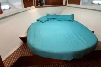 Thumbnail von Riviera 43 Open Flybridge