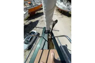 Thumbnail von Maxi Dolphin 65 Kalao