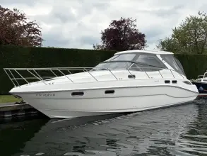 Thumbnail von Sealine S41 Neue Ankunft
