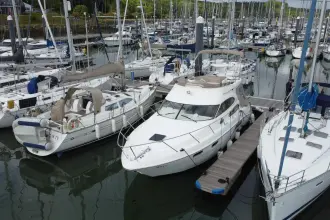 Thumbnail von Sealine F37