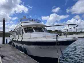 Thumbnail von Trader 44 Sundeck Henna Sea
