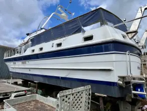 Thumbnail von Trader 54 Sundeck
