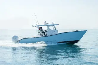 SilverCat 34 CC