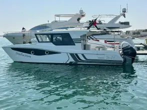 SilverCat 35 CX