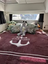 Thumbnail von Fountaine Pajot Elba 45 Four Roses