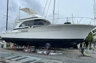 Bertram 46