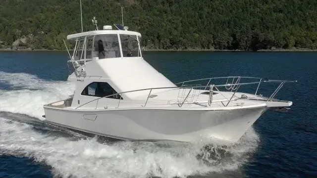 Cabo 43
