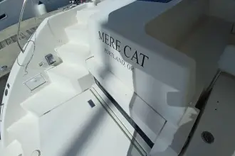 Thumbnail von Leopard 45 Meer Katze