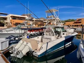 Boston Whaler 370 Outrage