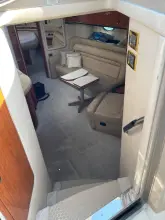 Thumbnail von Sea Ray 460 Sundancer