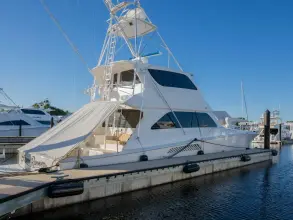 Viking 74 Enclosed Bridge STREAM RUNNER