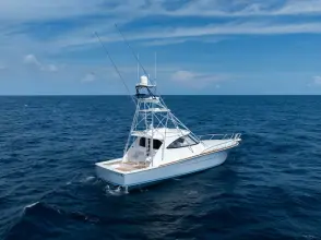 Thumbnail von Viking 54 Sports Tower auf Lager 2025 Viking 54ST 54-912