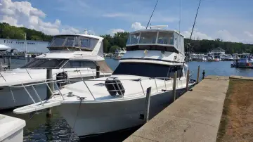 Thumbnail von Viking 45 Convertible