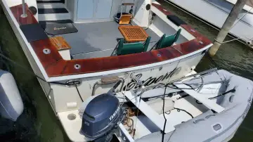 Thumbnail von Viking 45 Convertible