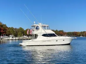Viking 50 Convertible