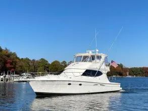 Thumbnail von Viking 50 Convertible