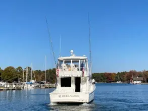 Thumbnail von Viking 50 Convertible