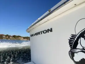 Thumbnail von Viking 50 Convertible